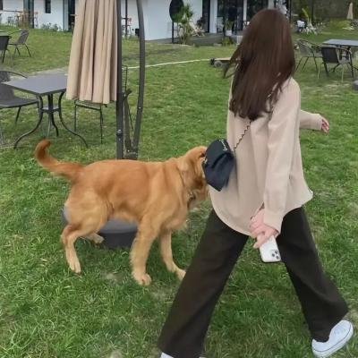 国王的事件手册